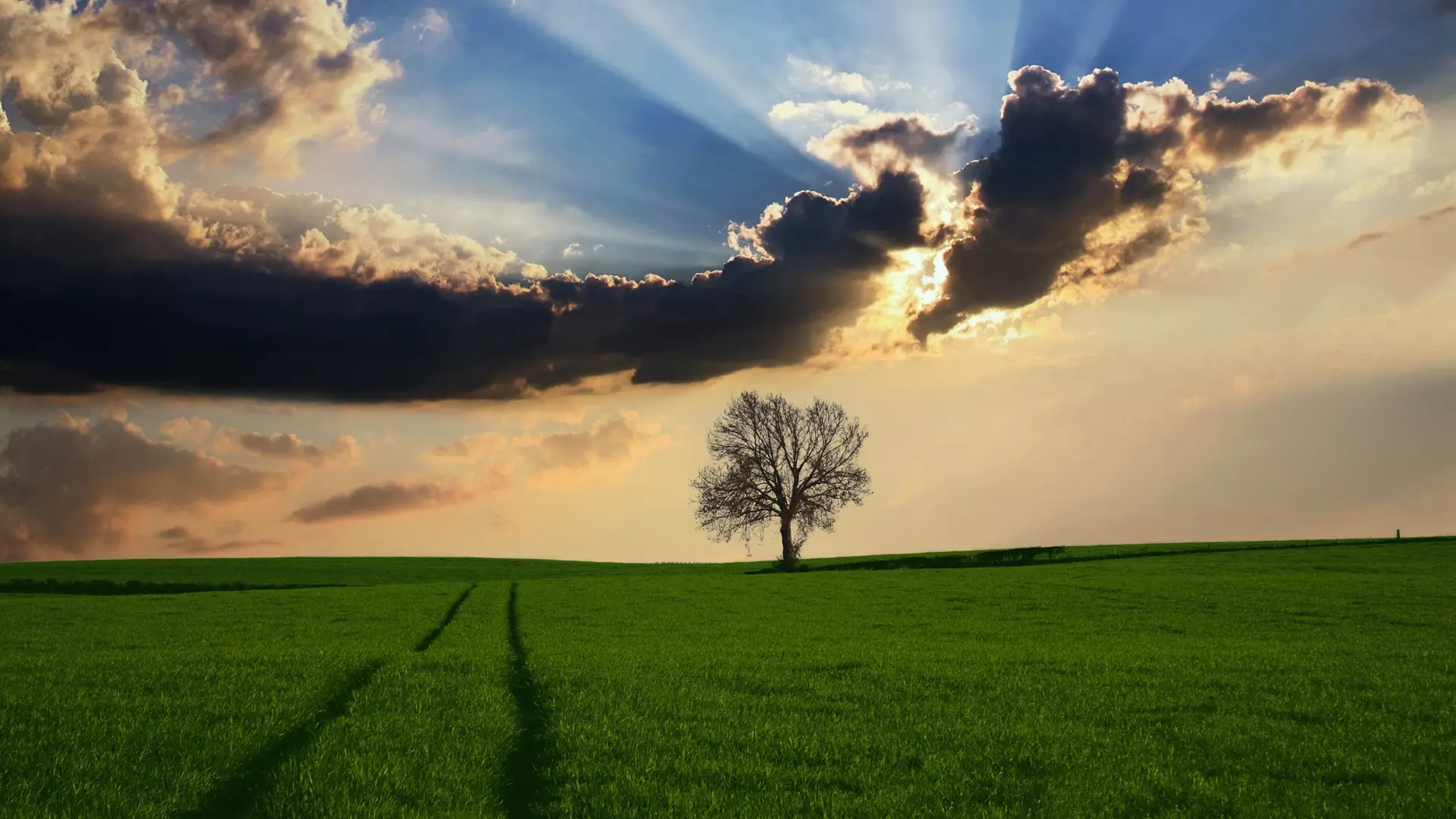 《如何在自己感兴趣的领域出类拔萃: 理想人生实现指南》